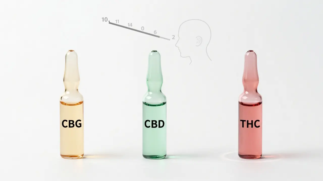 Porovnání CBG, CBD a THC v transparentních lahvičkách s označením účinků.