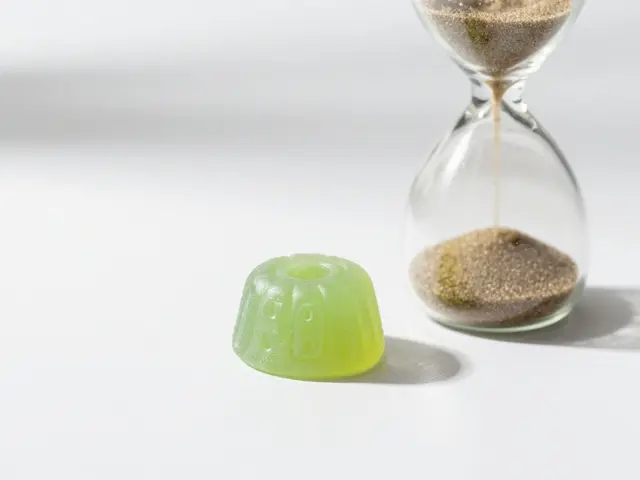 Kdy začne působit jedna CBD žvýkačka? Kompletní průvodce časováním