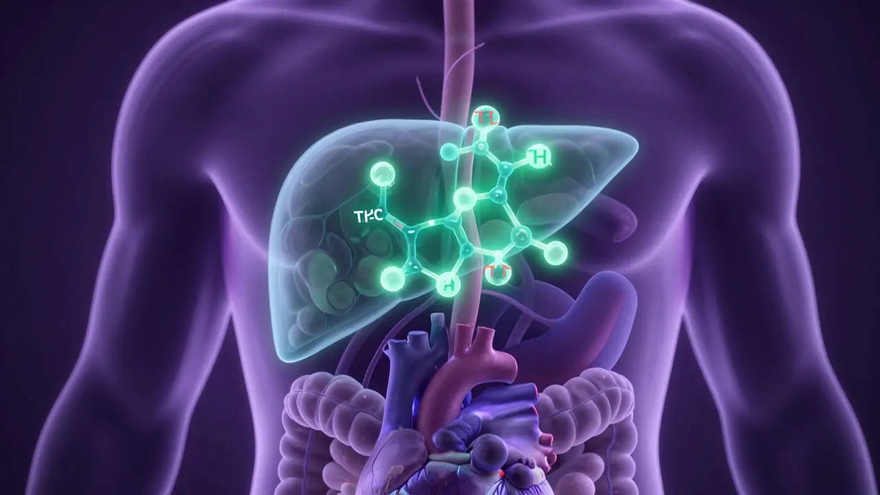 Ilustrace přeměny THC v játrech na silnější metabolit
