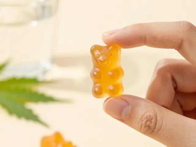 Nejlepší CBD gummy pro bolest: Kompletní průvodce výběrem a dávkováním